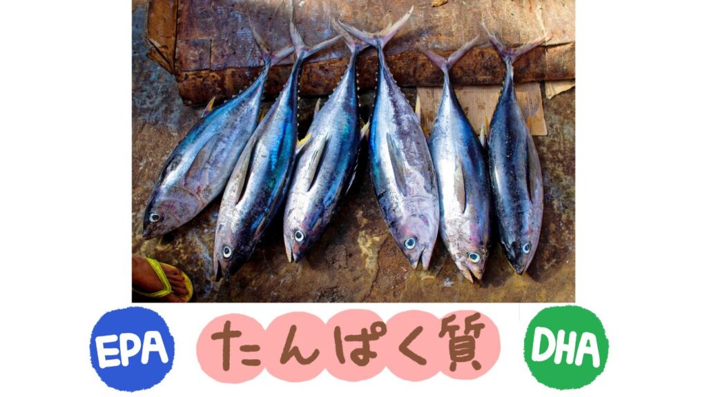 パルシステム ツナ缶 離乳食 無添加 ツナ缶 離乳食 離乳食 ツナ パルシステム お試しセット 離乳食 食塩無添加 ツナ缶 ツナ缶 離乳食 冷凍保存 ツナ缶 離乳食 使い方 ツナ缶 離乳食 時短 離乳食 冷凍ストック アイデア 食材宅配 離乳食向け 安心 食材 離乳食 生協 離乳食 ツナ缶 そのまま使える ツナ缶 離乳食 パルシステム 離乳食 ツナ缶 いつから 離乳食 ツナ缶 レシピ ツナ缶 塩抜き 不要 赤ちゃん ツナ缶 安全 離乳食 魚 おすすめ 離乳食 パルシステム 食材 パルシステム 離乳食 便利 時短 離乳食 食材 離乳食 ノンオイル ツナ 離乳食 おすすめ 宅配