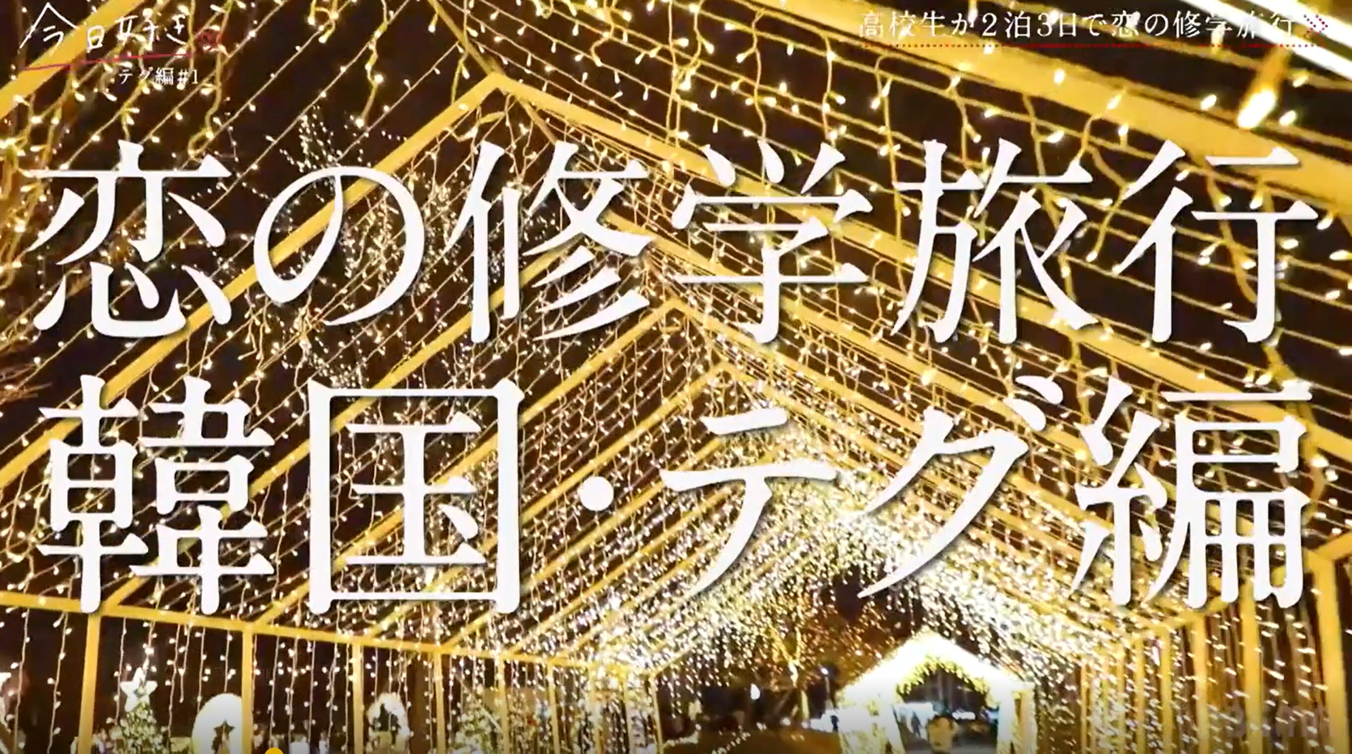 【今日好きテグ編】放送スタート！継続メンバー・新規メンバーや矢印図など見どころを徹底解説