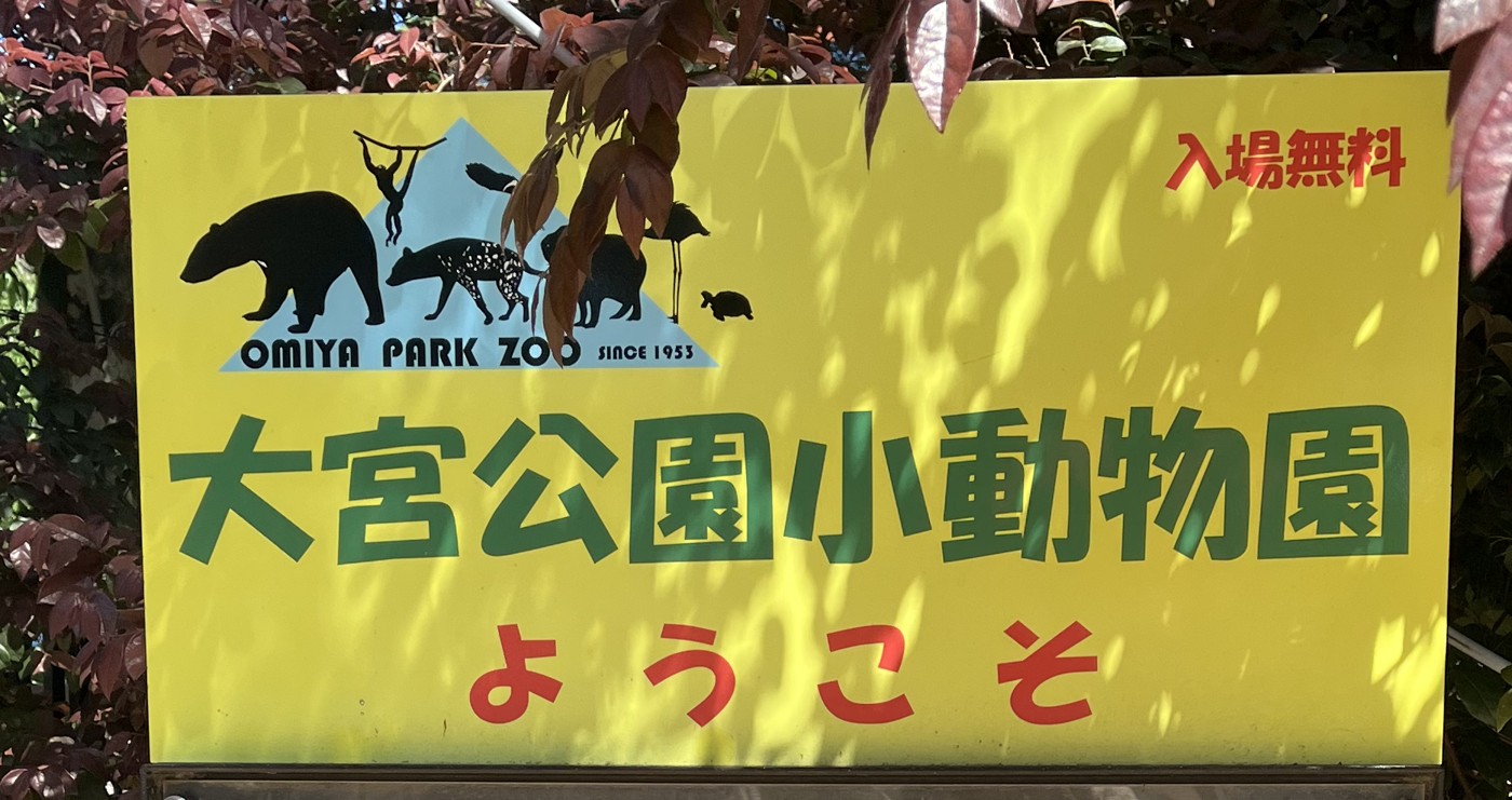 大宮公園小動物園の入場無料を案内する黄色い看板